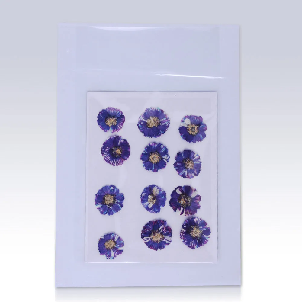 12pcs Dried Real Pressed Flower Stickers dyed pressed flower art  Nature jewelry