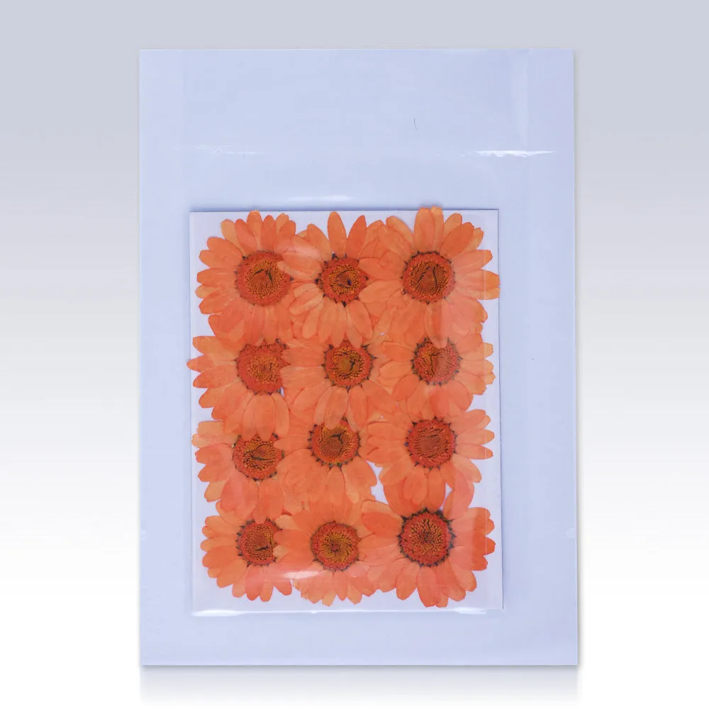 12pcs Dried Real Pressed Flower Stickers dyed pressed flower for phone case