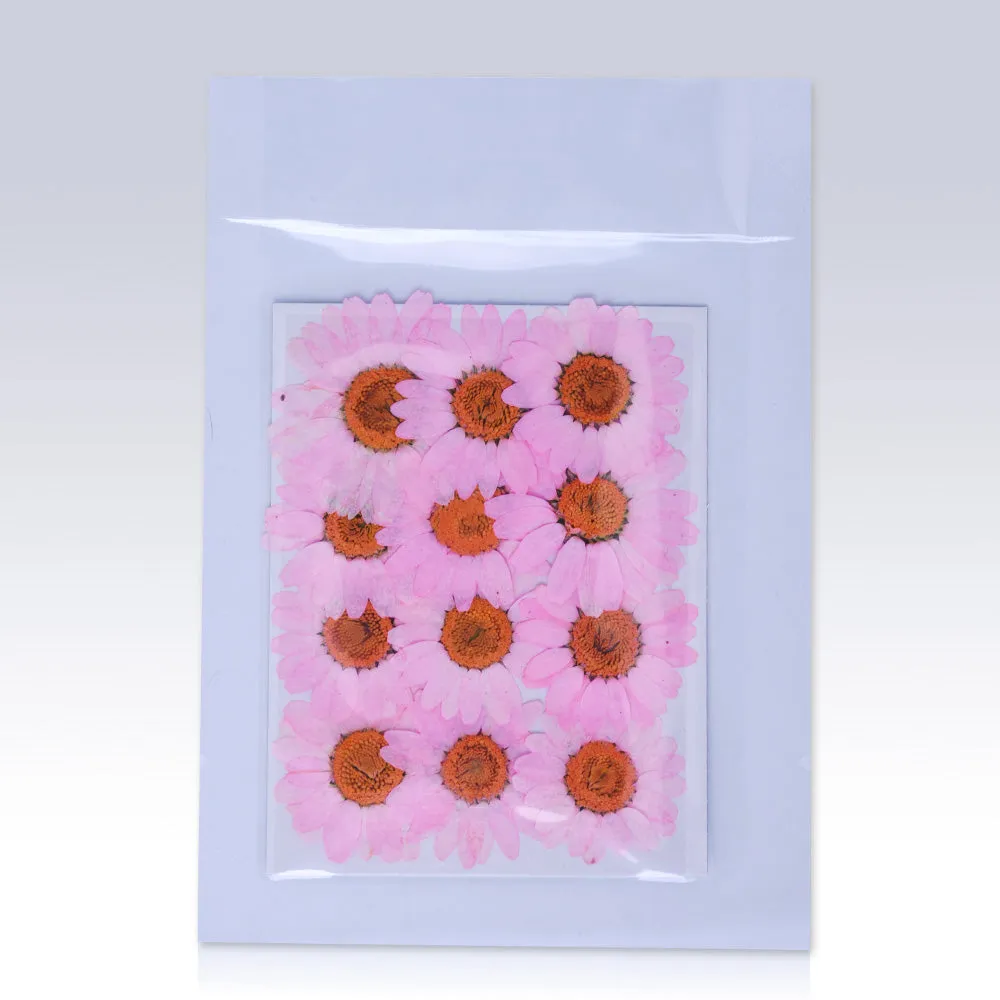 12pcs Dried Real Pressed Flower Stickers dyed pressed flower for phone case