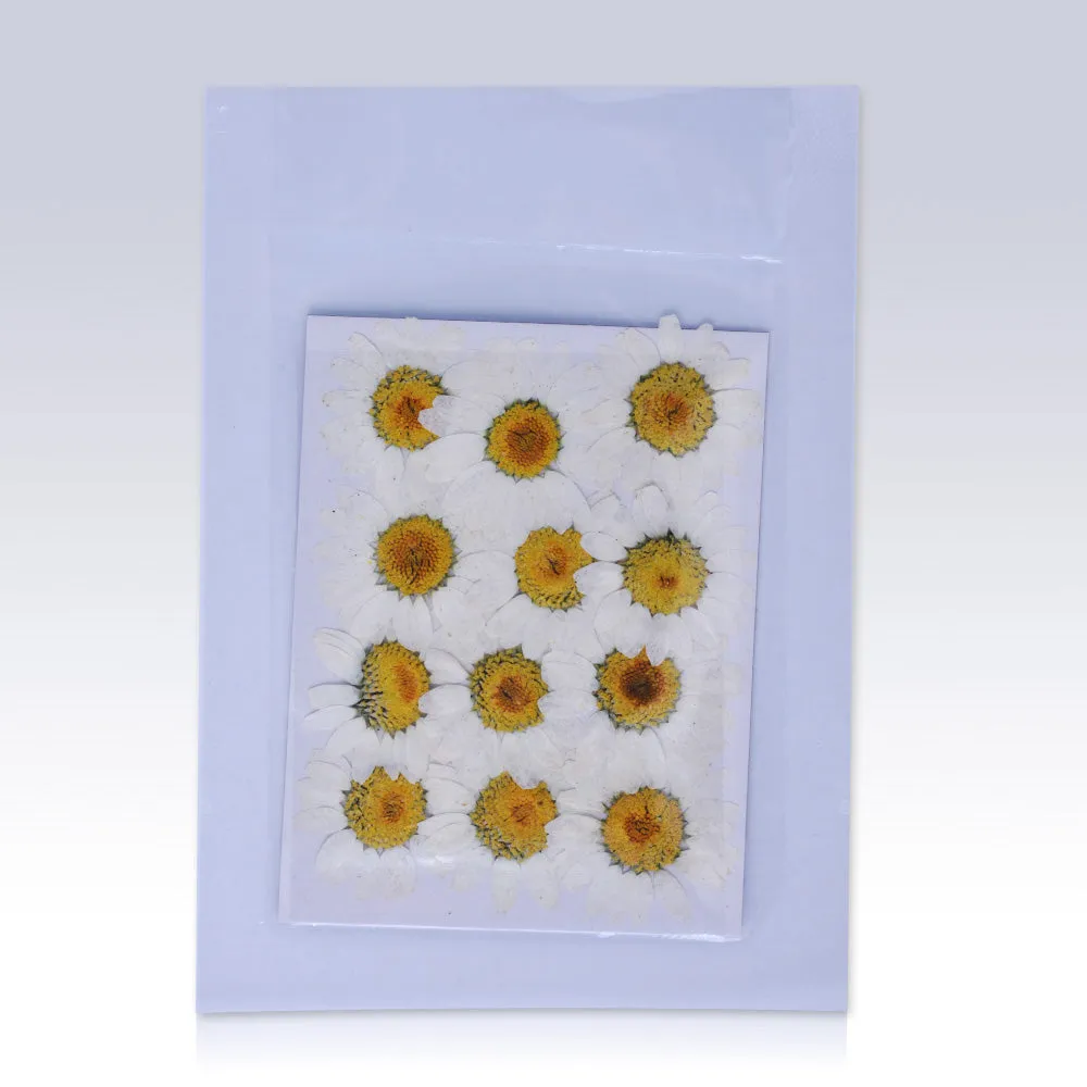 12pcs Dried Real Pressed Flower Stickers dyed pressed flower for phone case