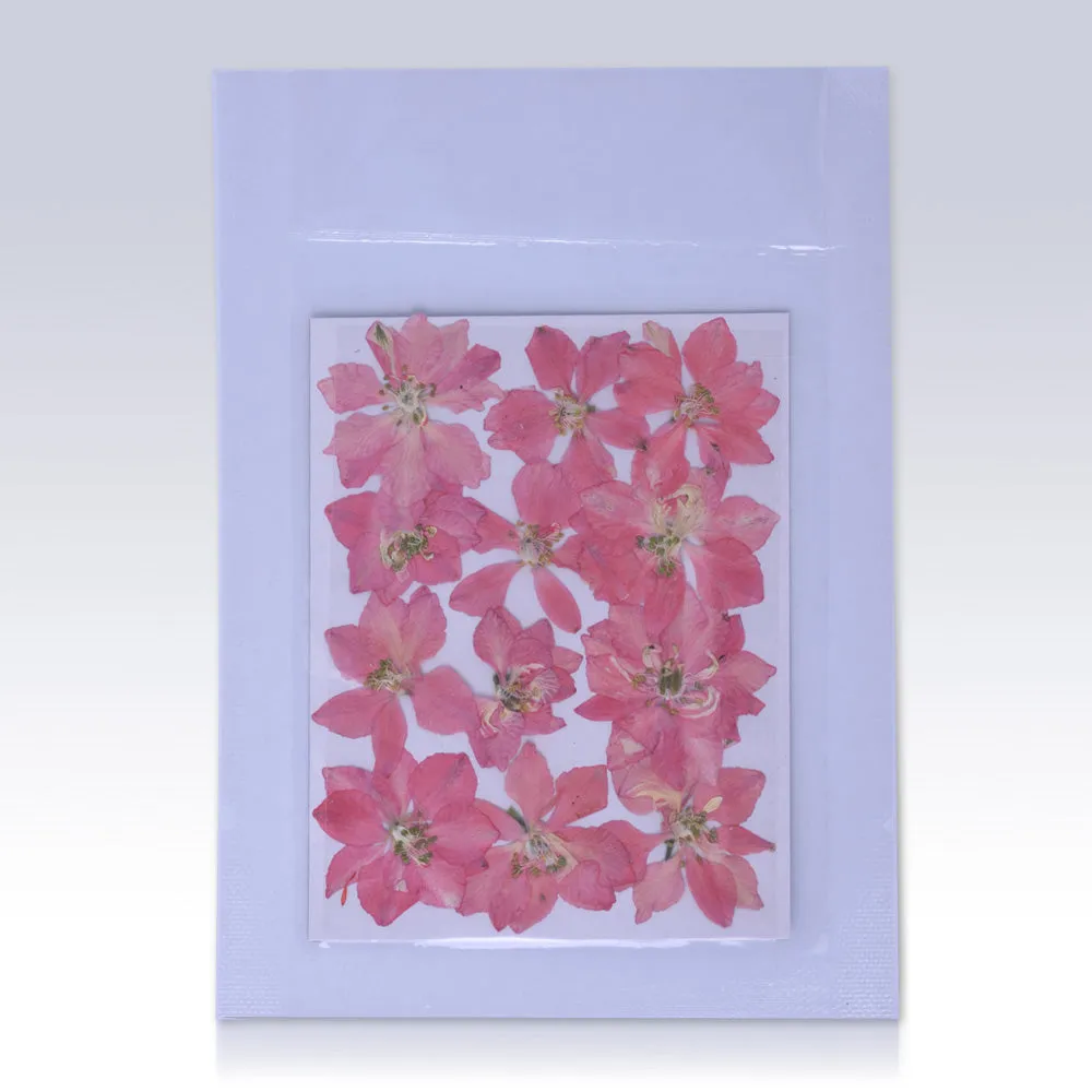 12pcs Dried Real Pressed Flower Stickers dyed pressed flower for phone case