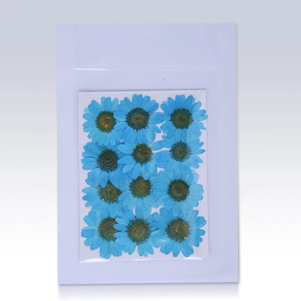 12pcs Dried Real Pressed Flower Stickers dyed pressed flower for phone case