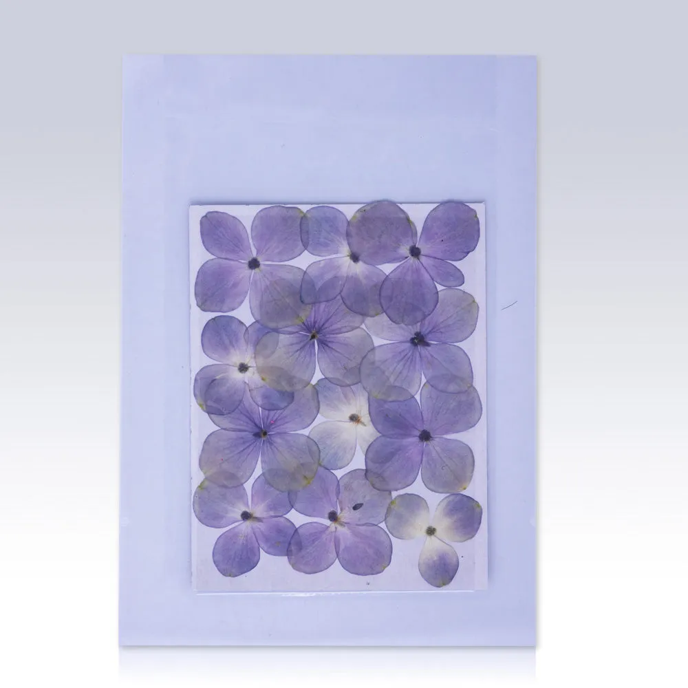 12pcs Dried Real Pressed Flower Stickers dyed pressed flower for phone case,paper goods