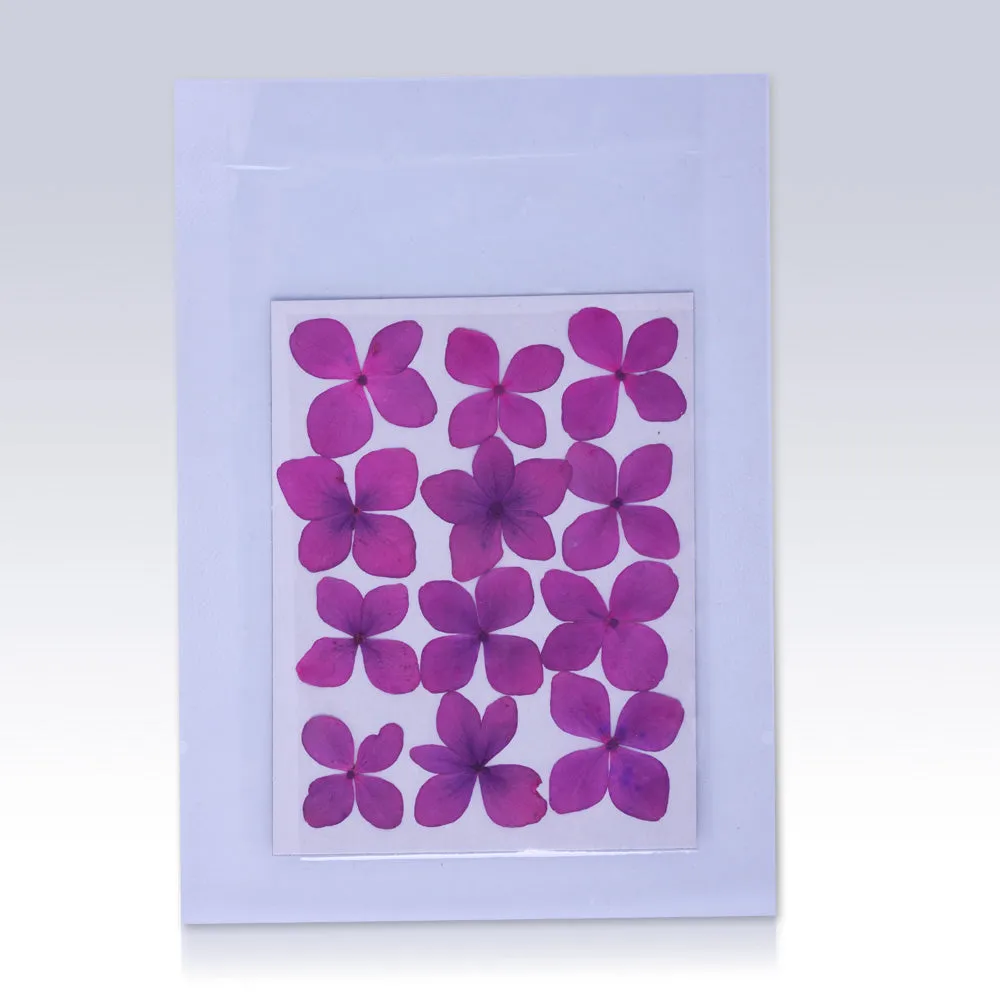 12pcs Dried Real Pressed Flower Stickers dyed pressed flower for phone case,paper goods