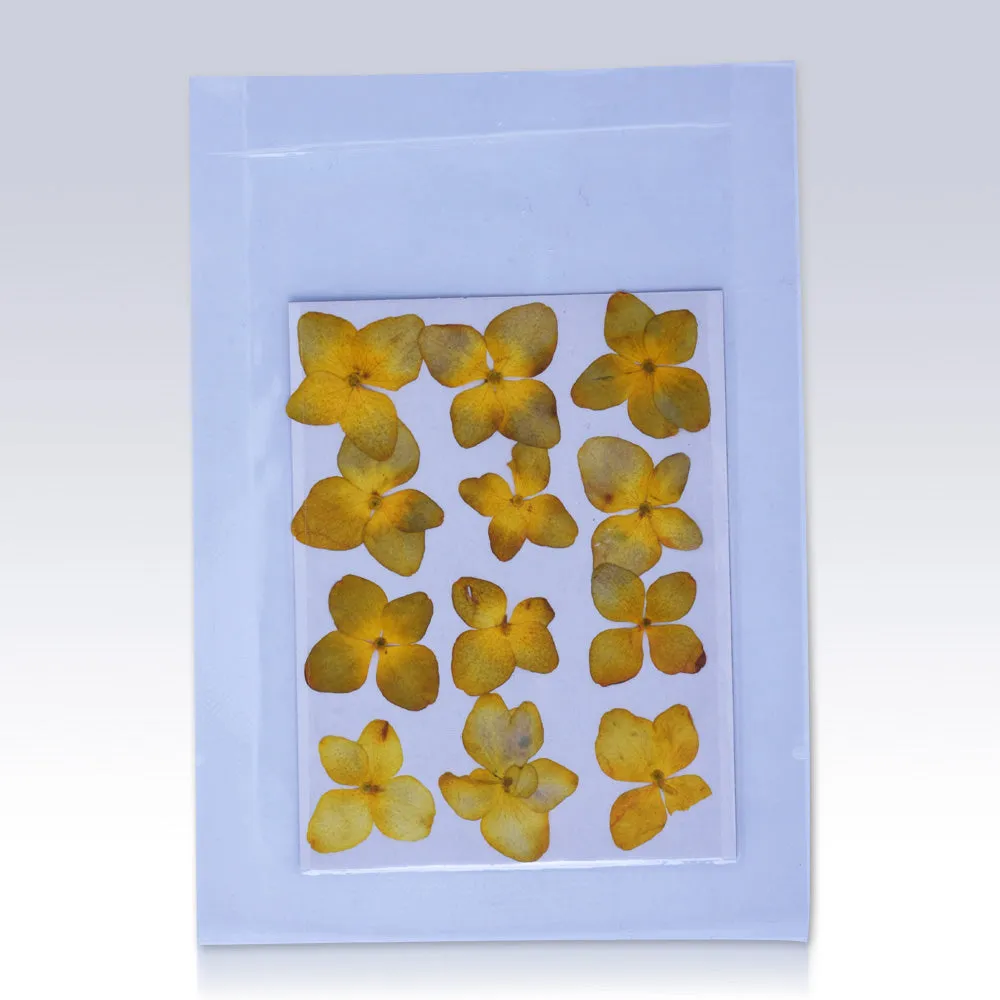 12pcs Dried Real Pressed Flower Stickers dyed pressed flower for phone case,paper goods