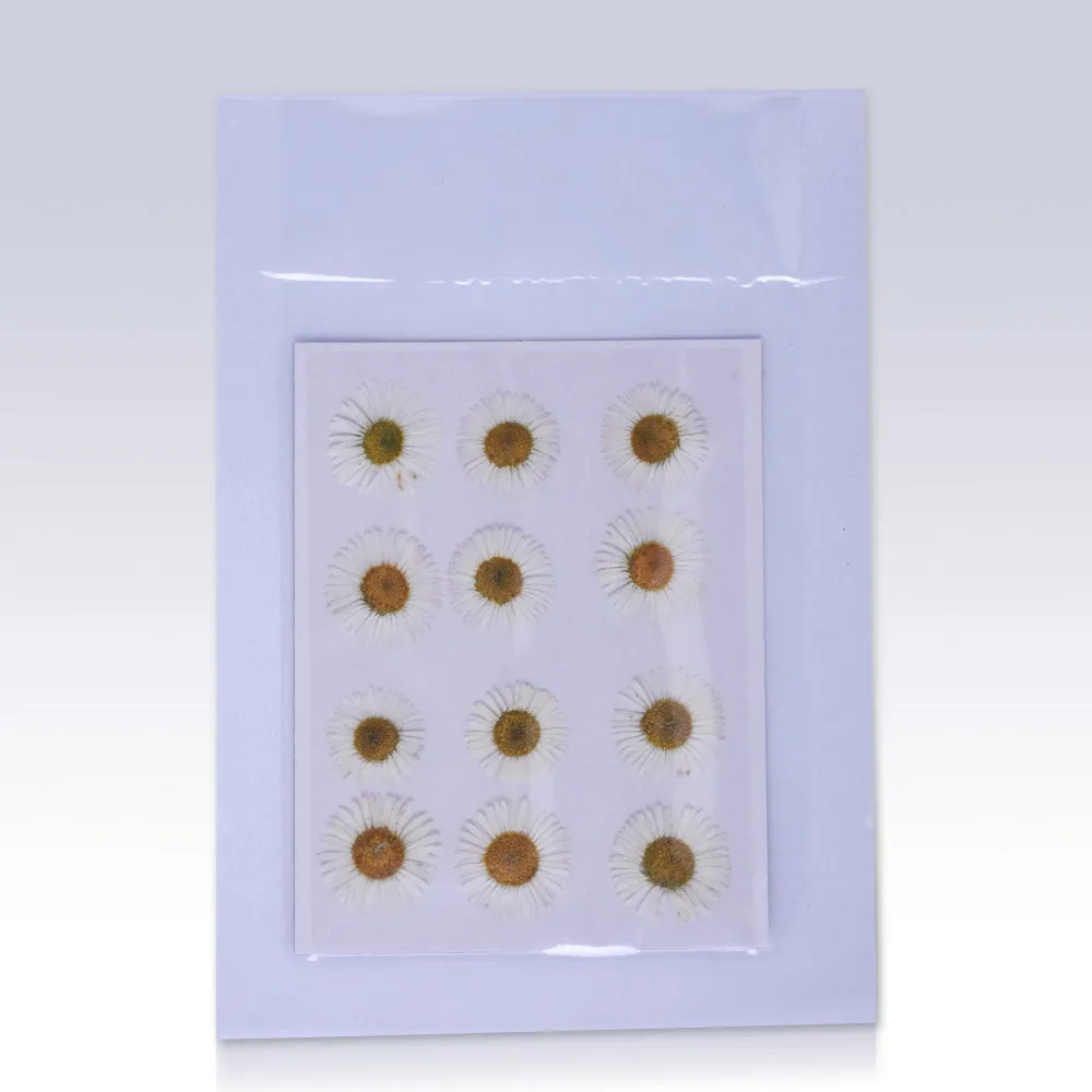 12pcs Dried Real Pressed Flower Stickers dyed pressed flower for phone case,paper goods