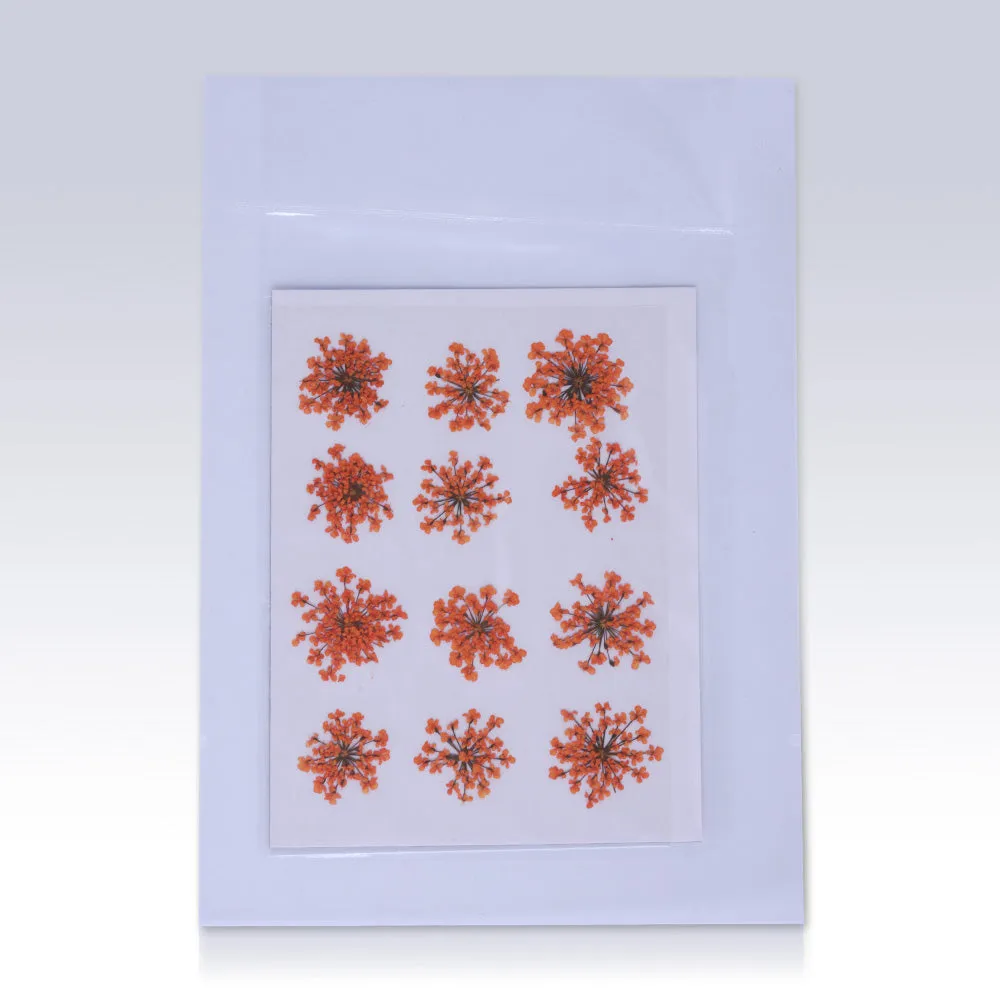 12pcs Real Pressed Flowers dried pressed  flower for Crafting Real Botanical Jewelry