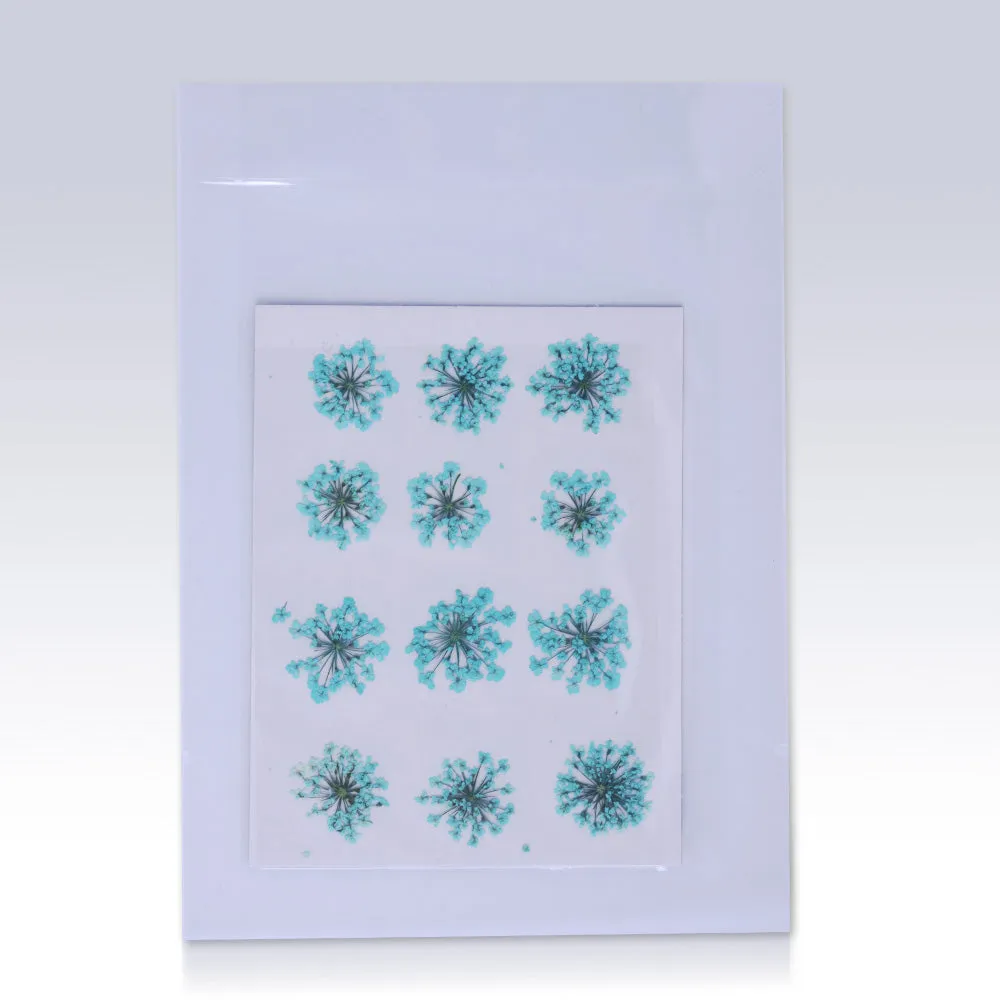 12pcs Real Pressed Flowers dried pressed  flower for Crafting Real Botanical Jewelry