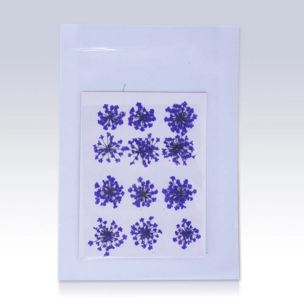 12pcs Real Pressed Flowers dried pressed  flower for Crafting Real Botanical Jewelry