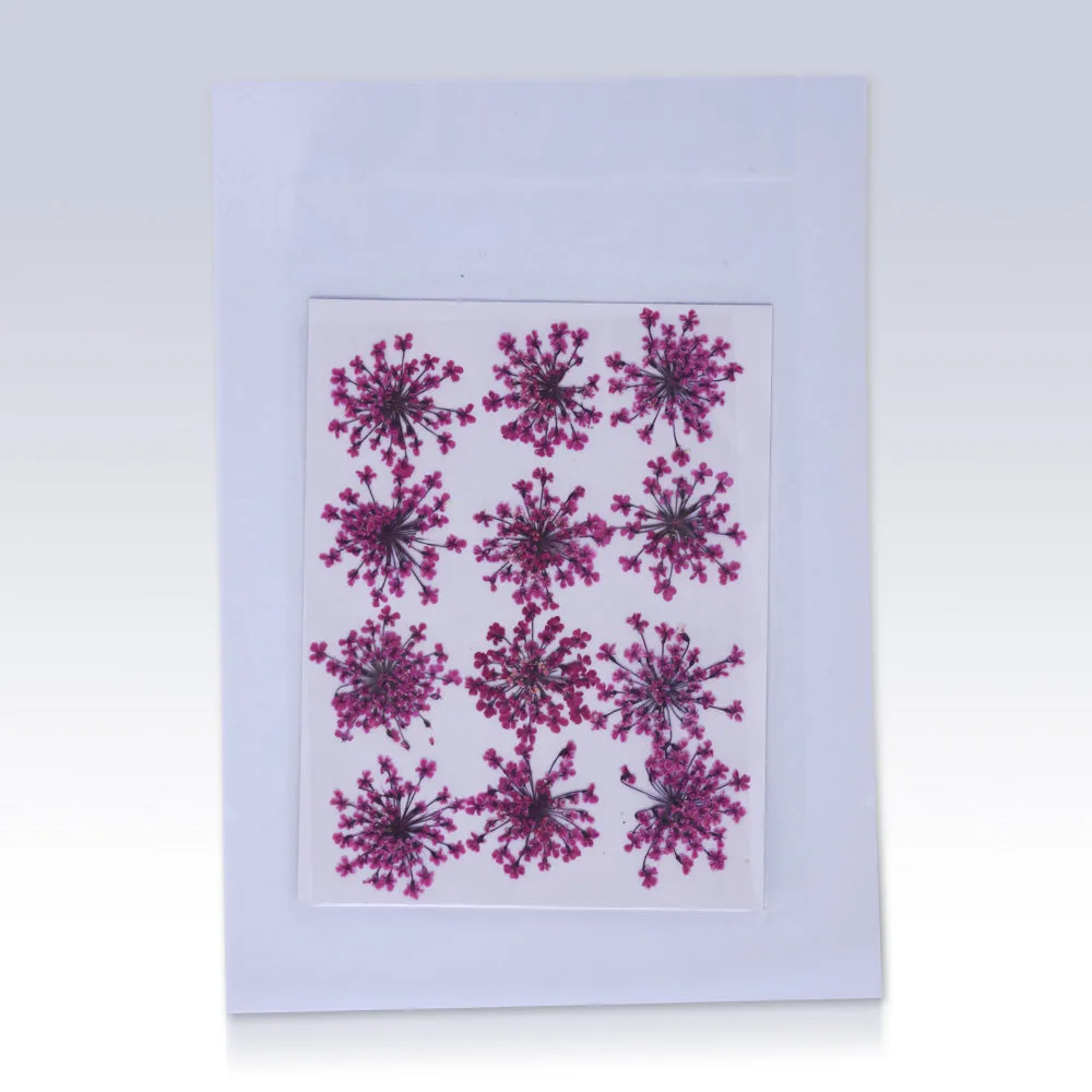 12pcs Real Pressed Flowers dried pressed  flower for Crafting Real Botanical Jewelry