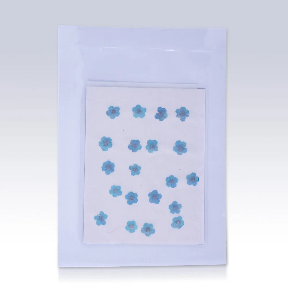 20pcs Dried Real Pressed Flower Stickers dyed pressed flower for phone case