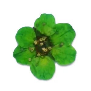20pcs Dried Real Pressed Flower Stickers dyed pressed flower for phone case