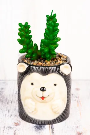 6 x 3.5 Autumn Hedgehog Ceramic Planter with Artificial Succulent