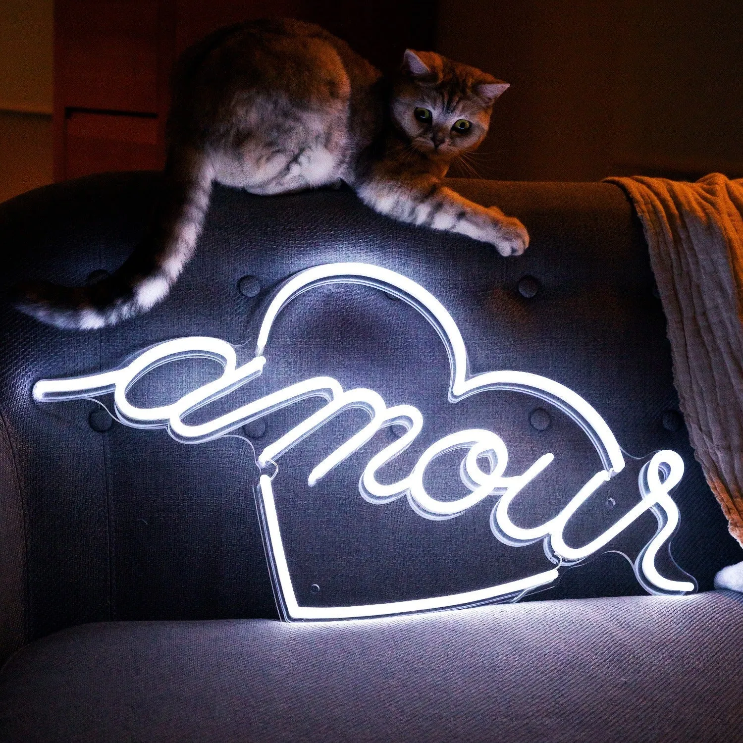 Amour by Jean André, LED neon sign