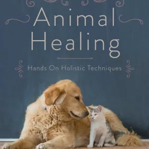 Animal Healing