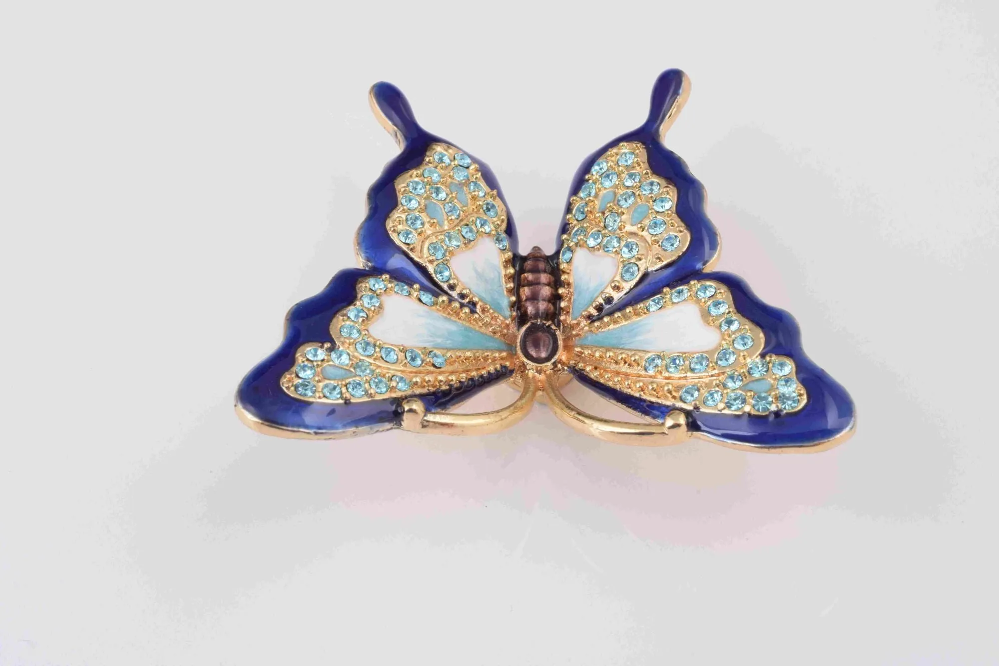 Blue Butterfly on Flowers