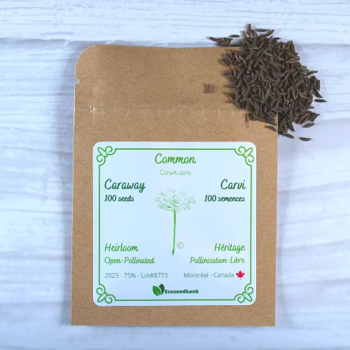Caraway Seeds