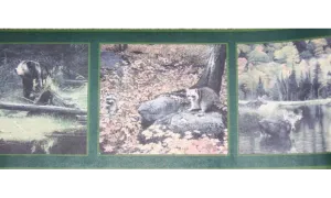 Dark Green Framed Animal Photos CW102785 Wallpaper Border