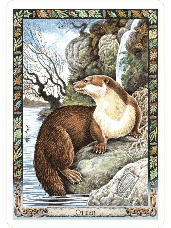 Druid Animal Oracle