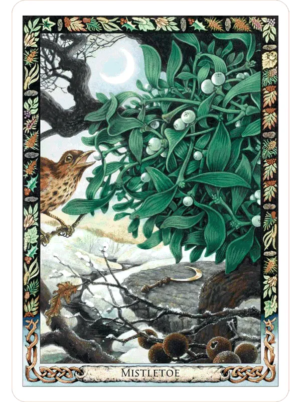 Druid Animal Oracle