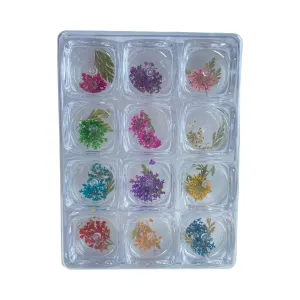 Dry Nature Flowers - 12pcs (DF-01)