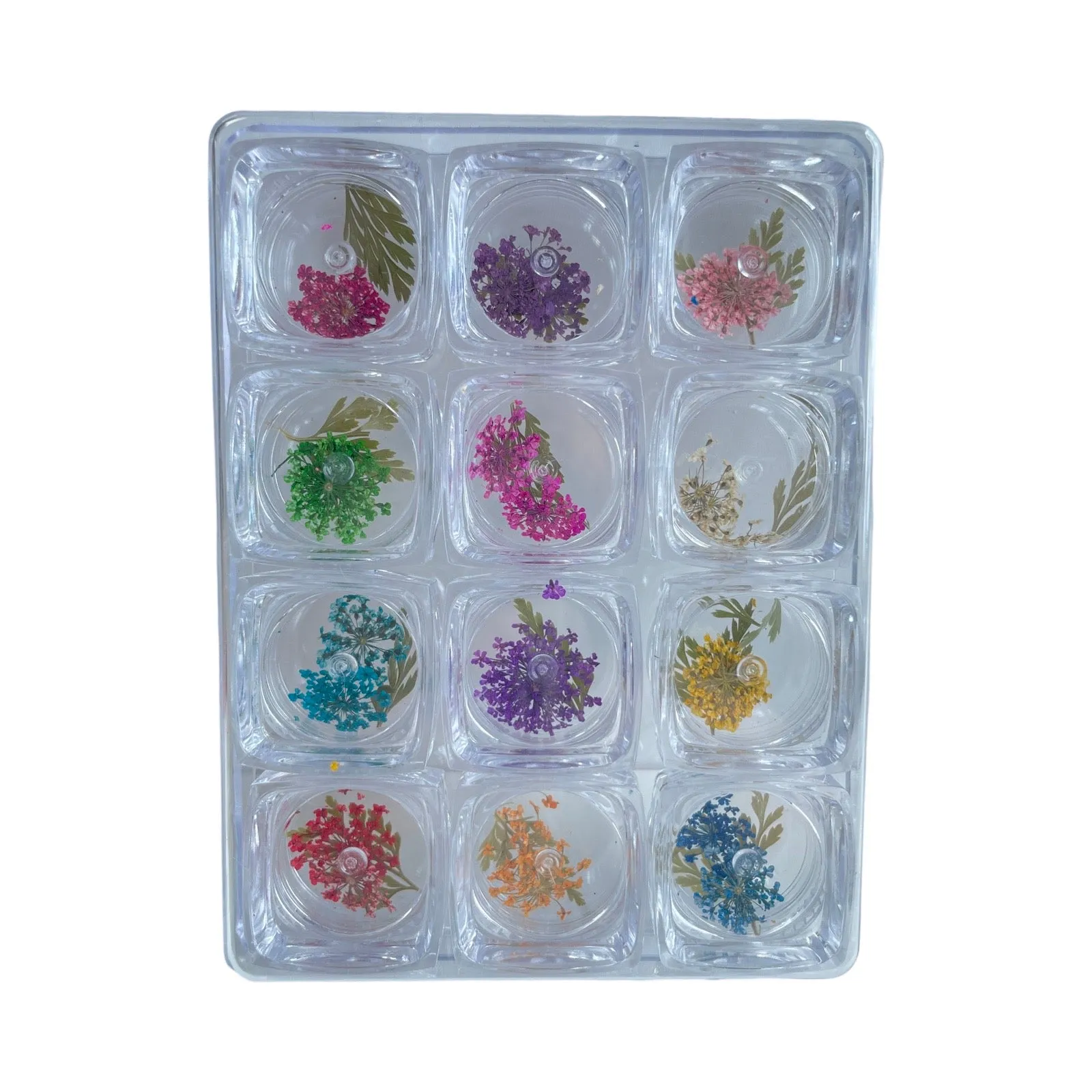 Dry Nature Flowers - 12pcs (DF-01)