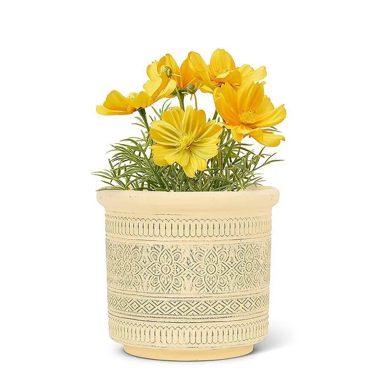 Embossed Band Planter-5"H