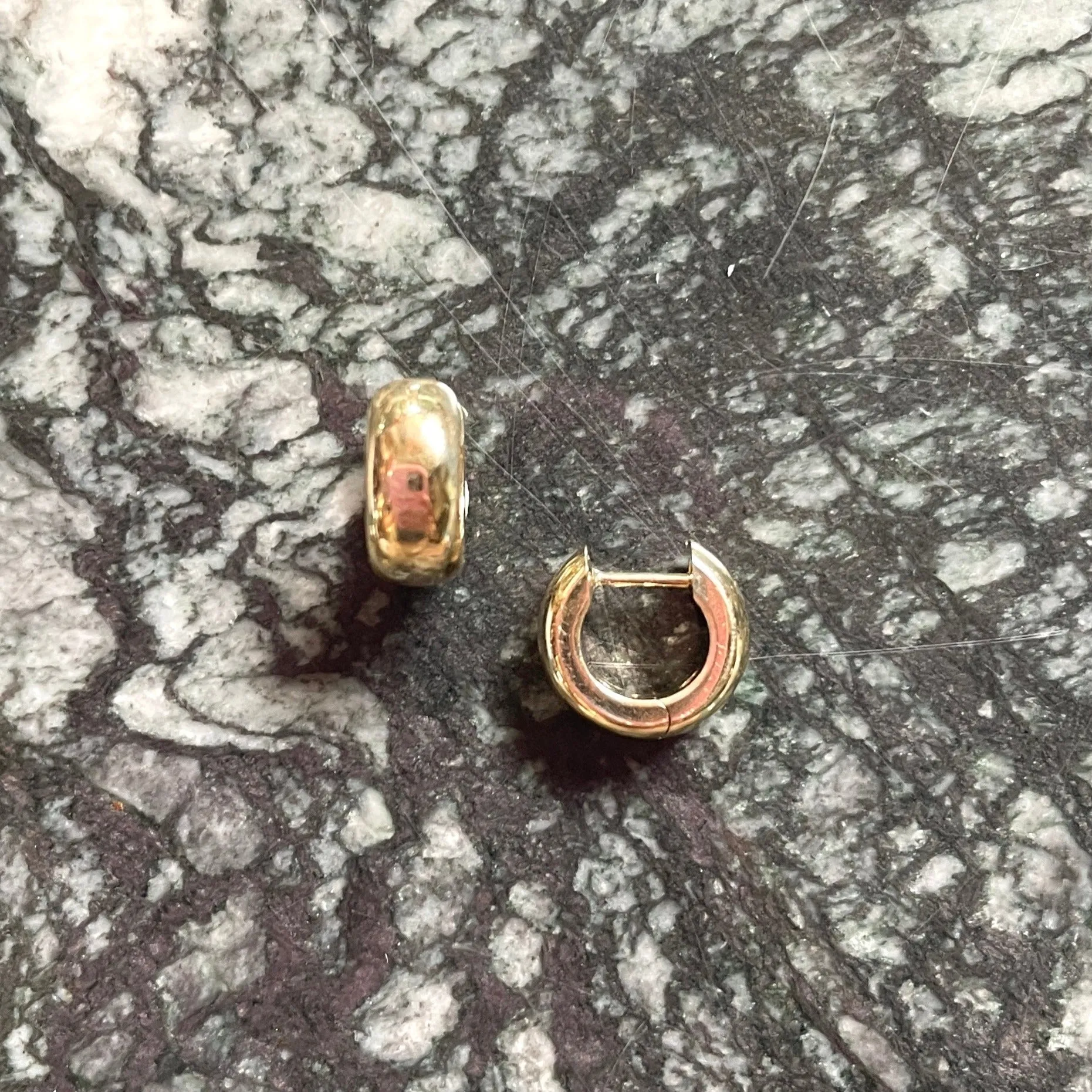 EVERYDAY CHUBBY Huggie Earrings