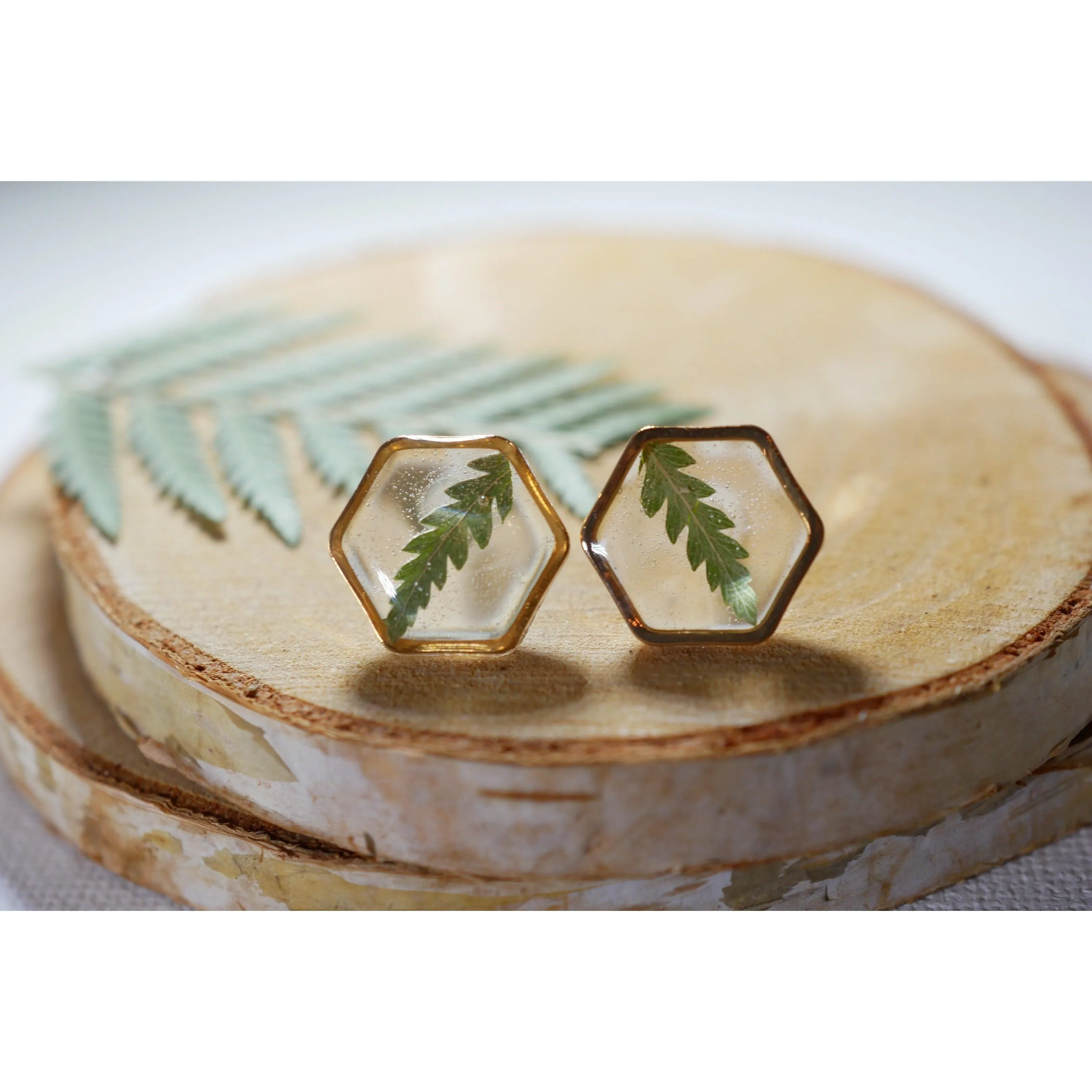 Fern Hexagon earrings studs