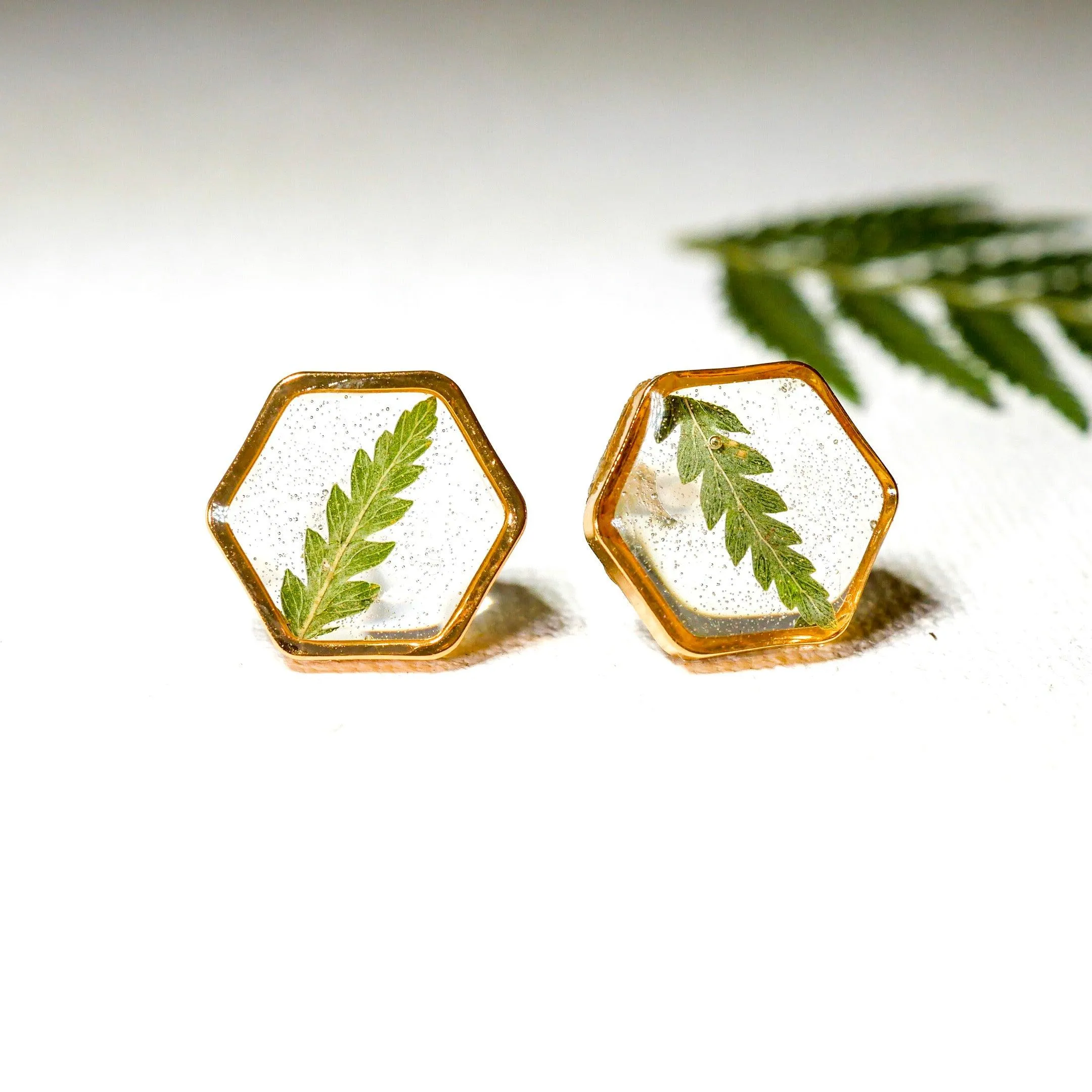 Fern Hexagon earrings studs