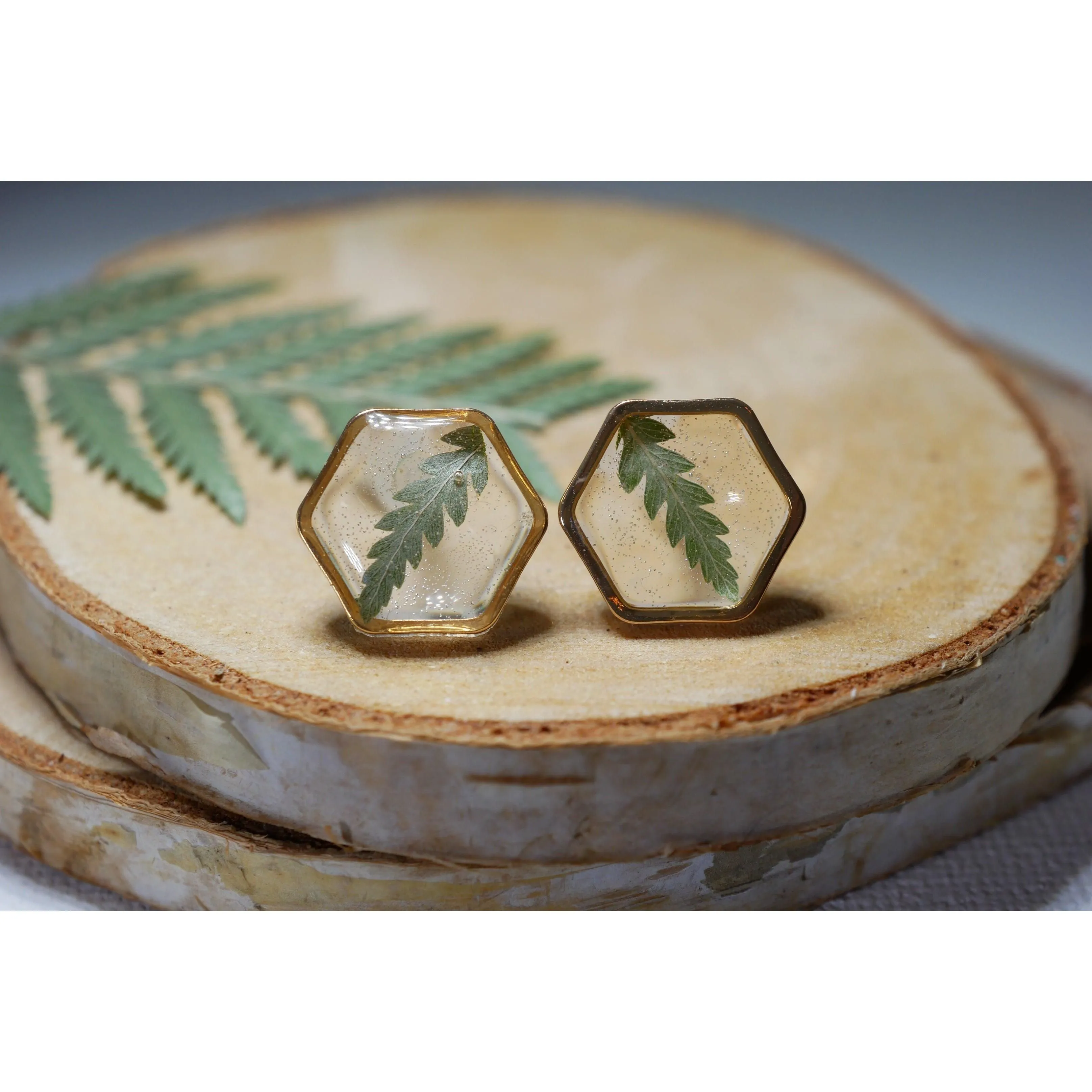 Fern Hexagon earrings studs