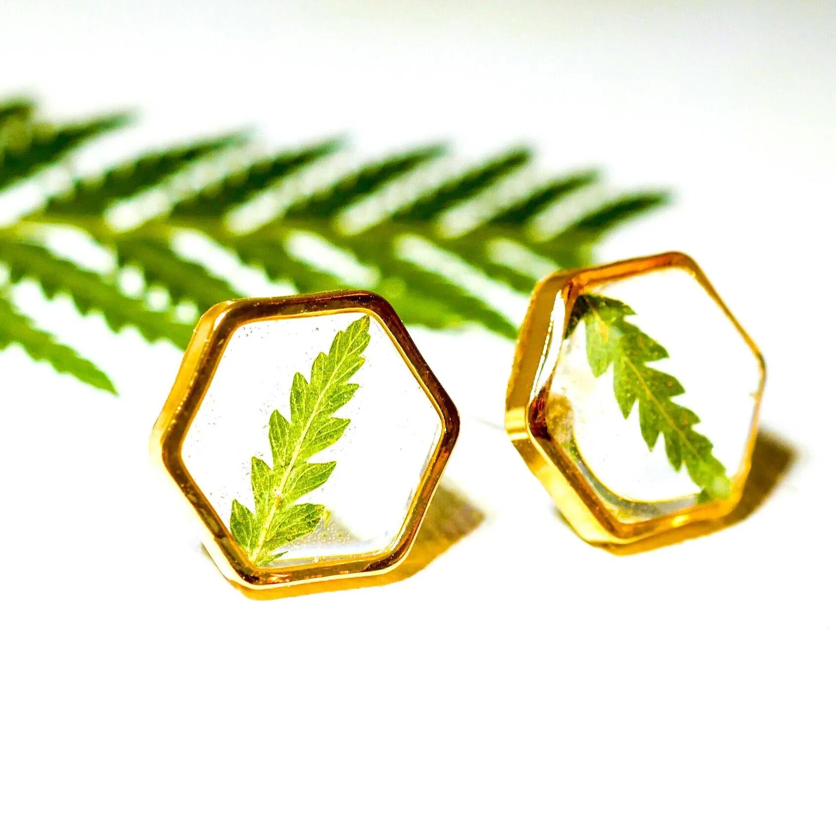 Fern Hexagon earrings studs