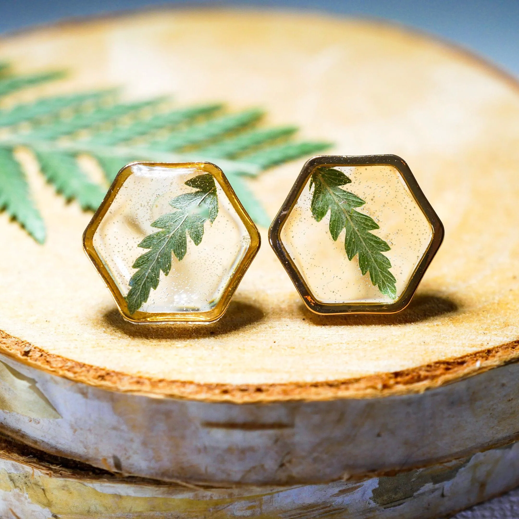 Fern Hexagon earrings studs
