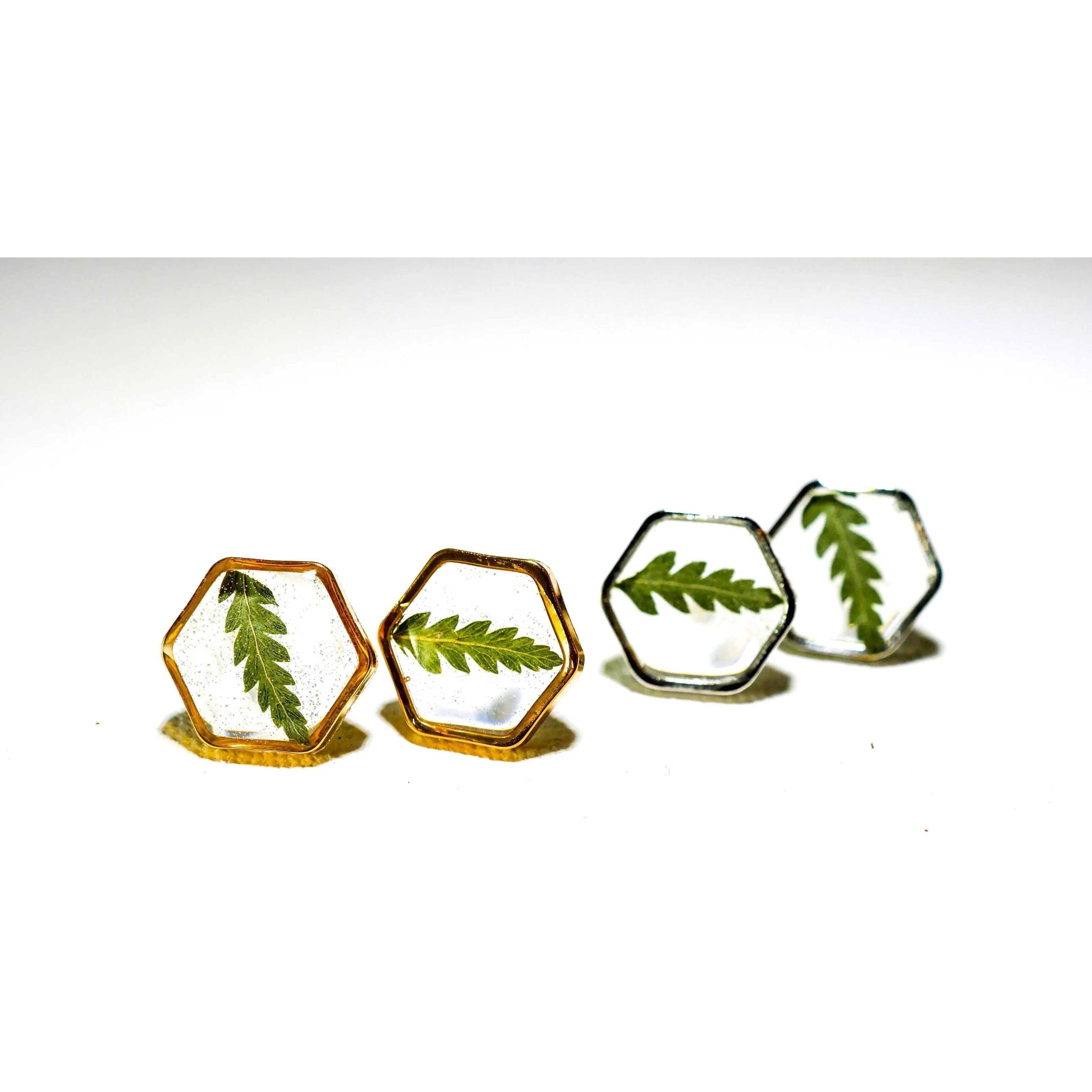 Fern Hexagon earrings studs