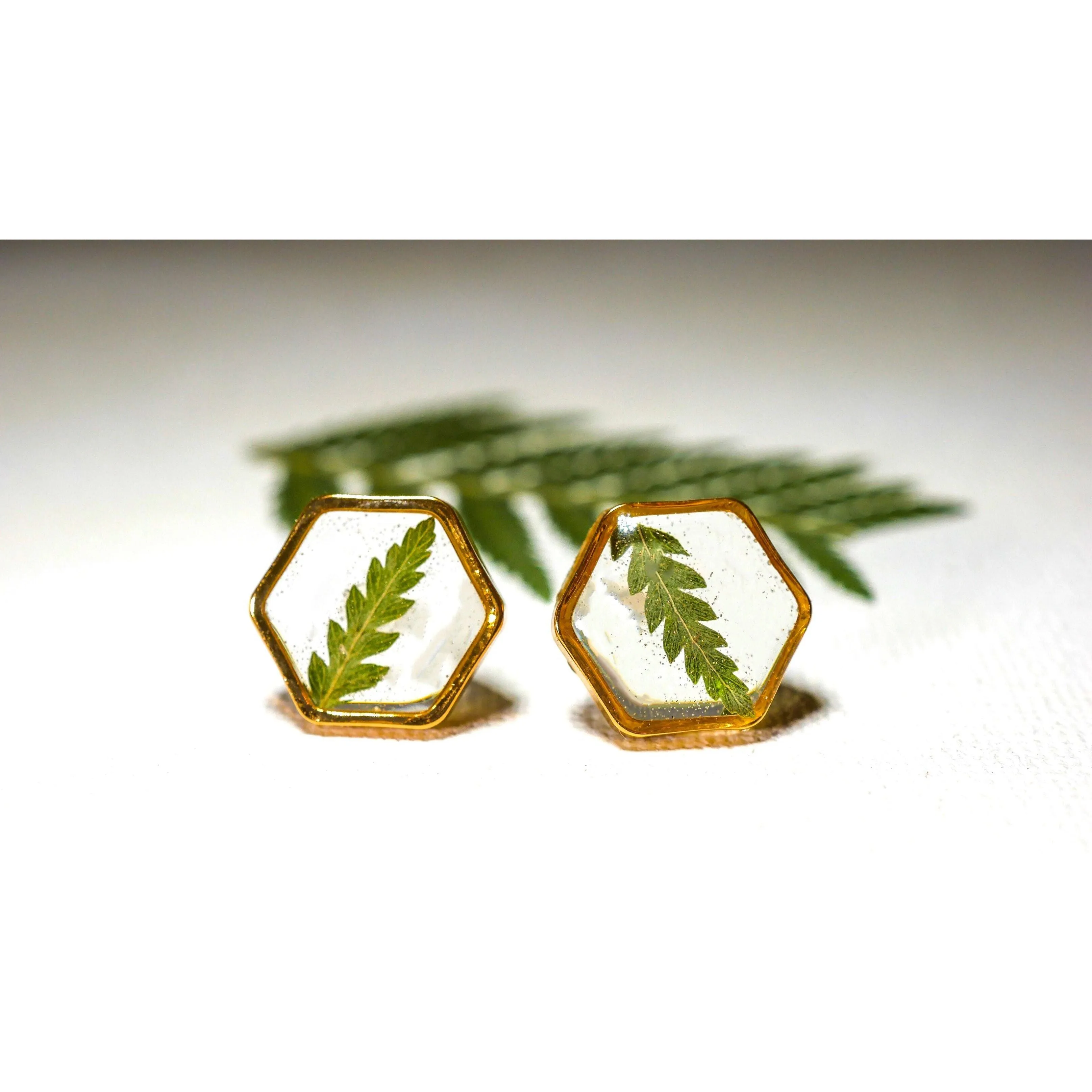 Fern Hexagon earrings studs