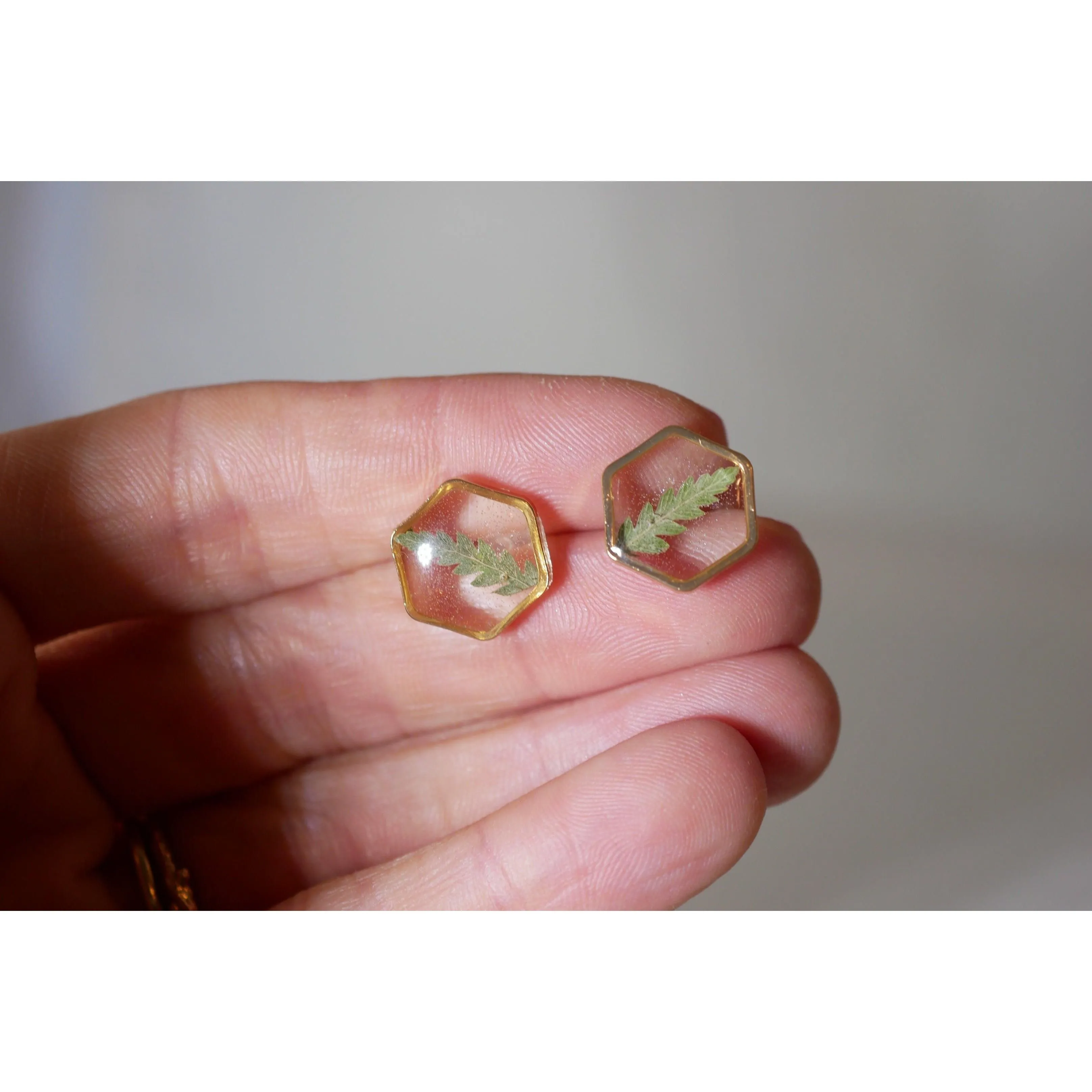 Fern Hexagon earrings studs