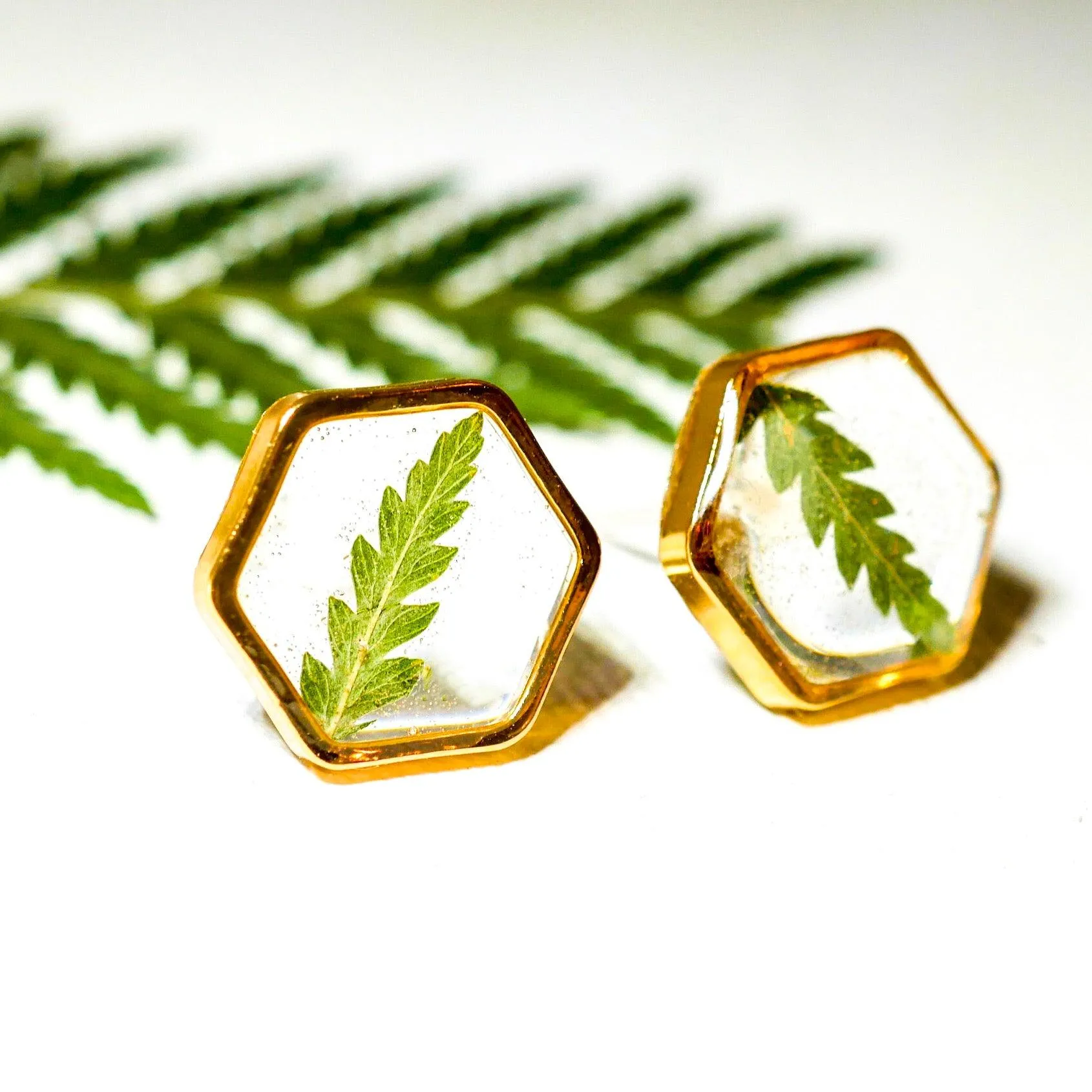 Fern Hexagon earrings studs