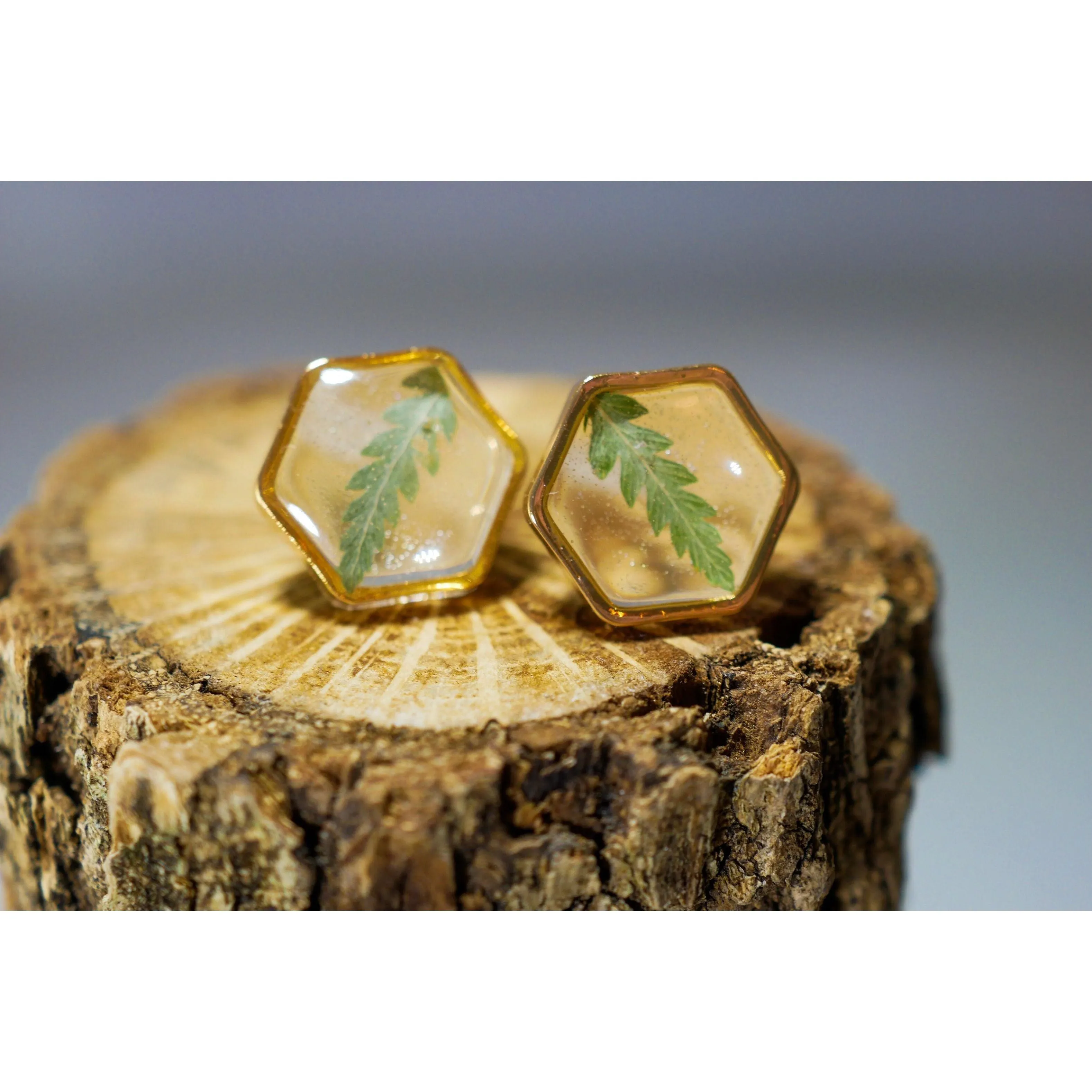 Fern Hexagon earrings studs