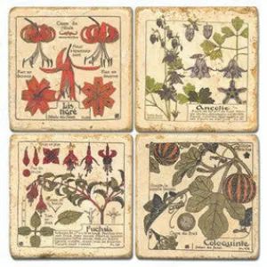 French Flowers Coasters