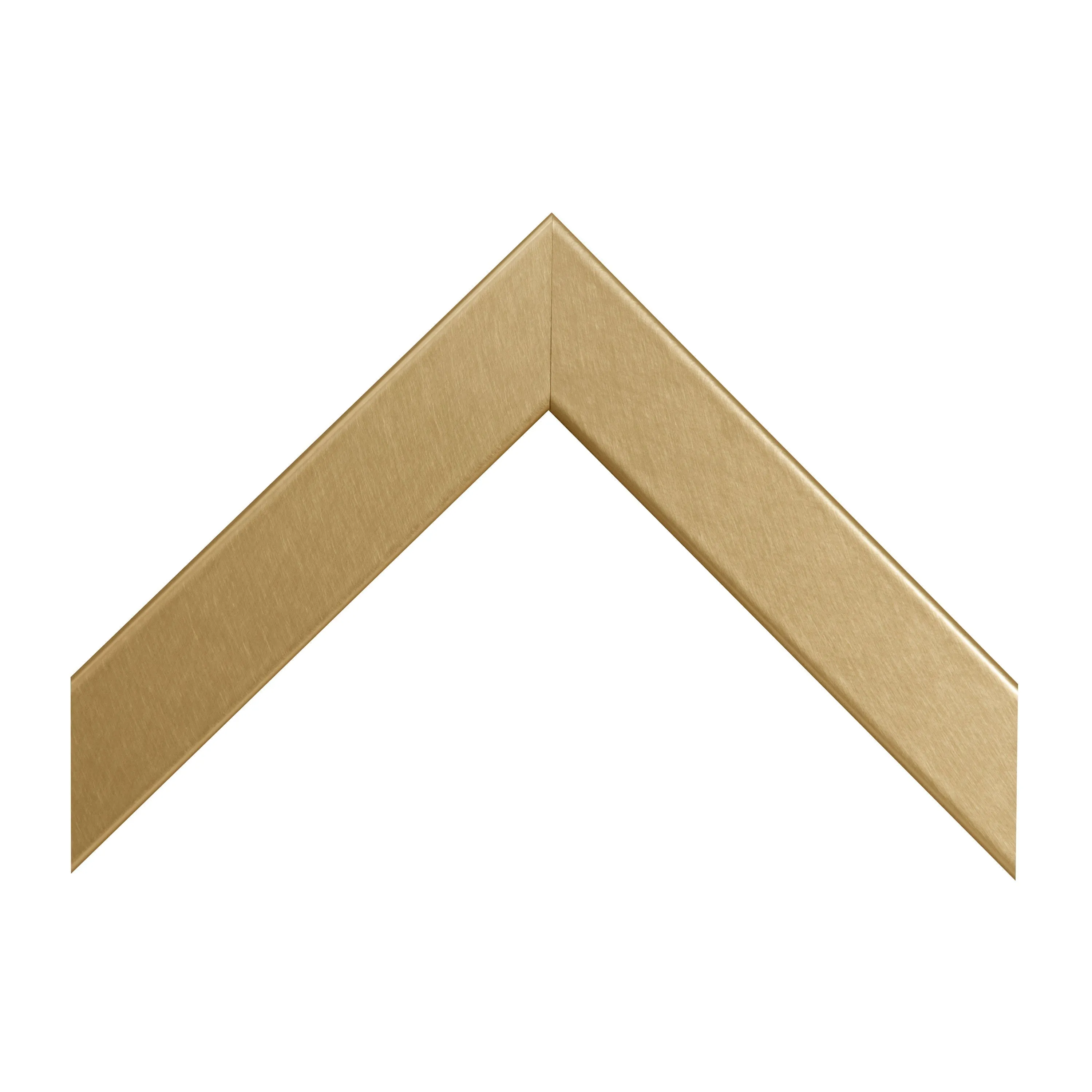 Golden Chicken Forward Facing