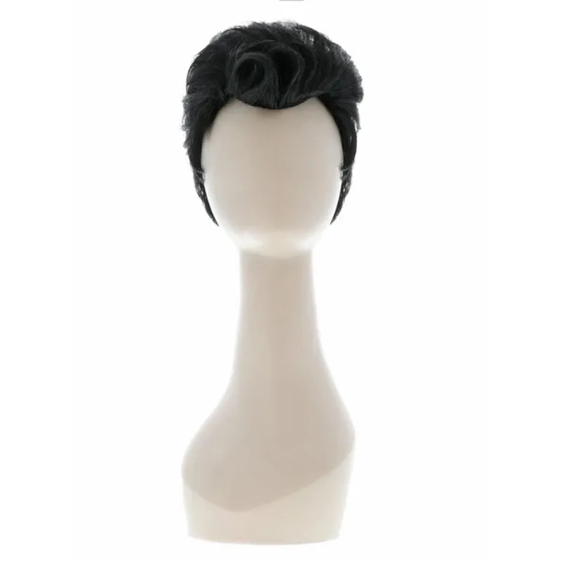 Grease Danny Wig