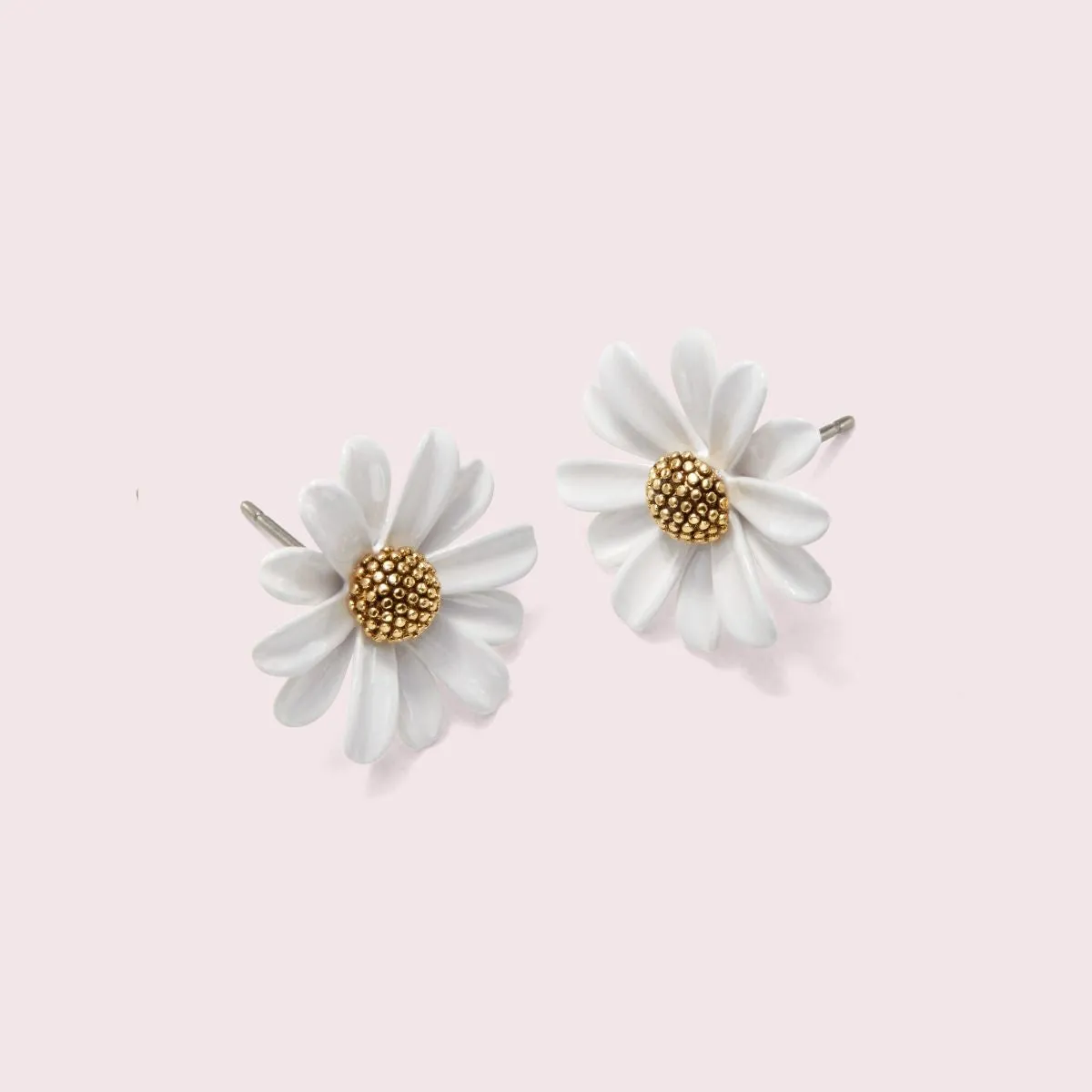 Into the Bloom Studs