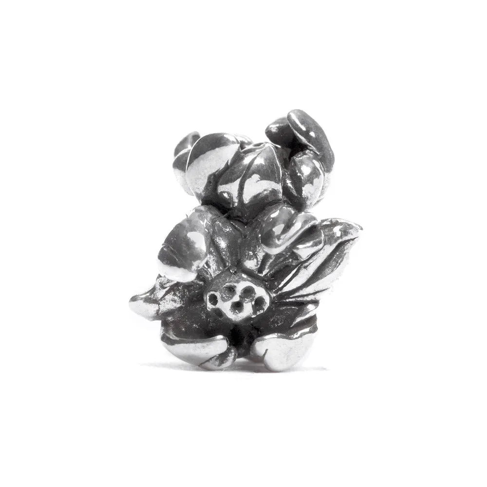 Magnolias, Silver