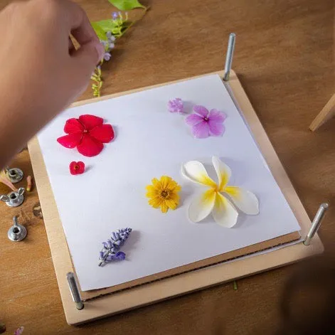 My Botanical Flower Press - 3 