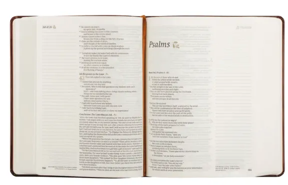 NLT Notetaking Bible : Santa Elena Theme