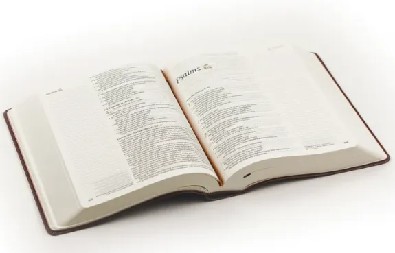 NLT Notetaking Bible : Santa Elena Theme