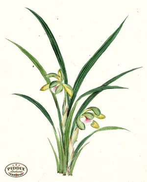 PDXC5534  -- Japanese Watercolors