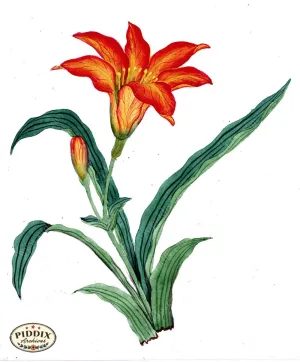 PDXC5535  -- Japanese Watercolors