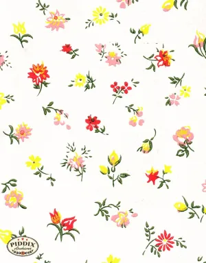 PDXC8018 -- Mid-Century Patterns