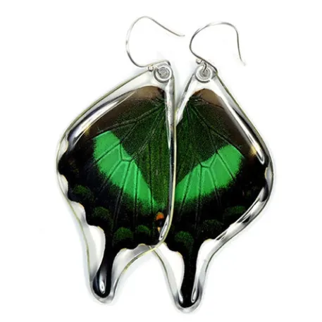 Petal Connection - Butterfly Earrings | Emerald Swallowtail (Bottom Wing) #0510-B-ER